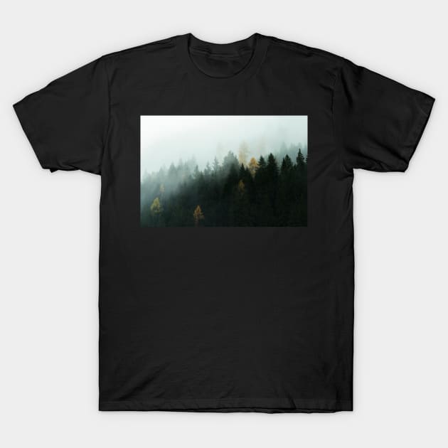 Morning Fog T-Shirt by EviRadauscher